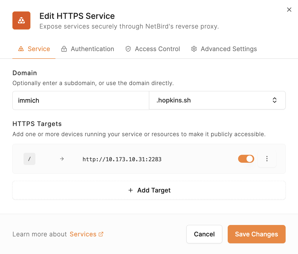 NetBird HTTPS service editor publishing immich.hopkins.sh to an Immich server on the home network